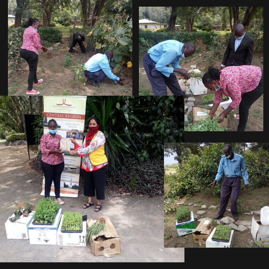 Lions involved in a tree planting activity at Hyrax Hill Museum.
