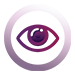 Vision icon