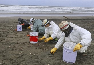 Voluntarios medioambientales tras el naufragio